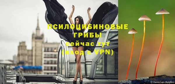 мескалин Елизово