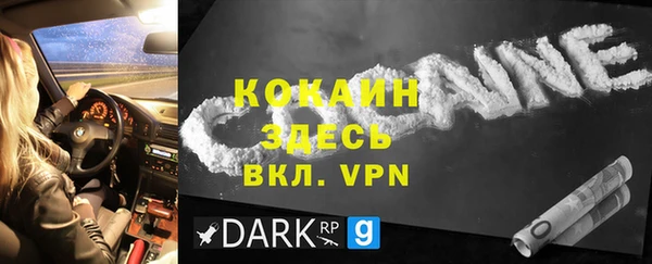 мяу мяу мука Дмитриев