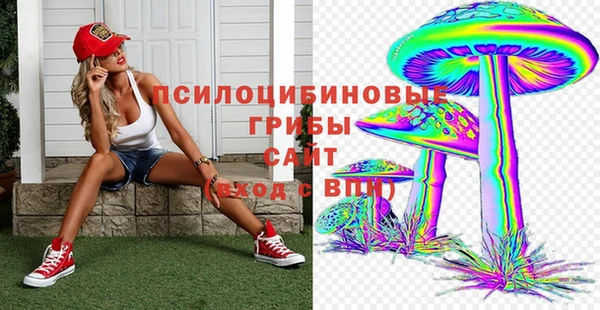 дурь Дмитровск