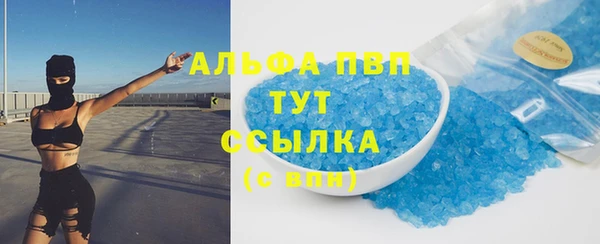 мяу мяу мука Дмитриев