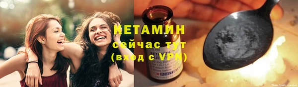 стаф Ельня
