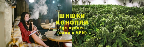 мяу мяу мука Дмитриев