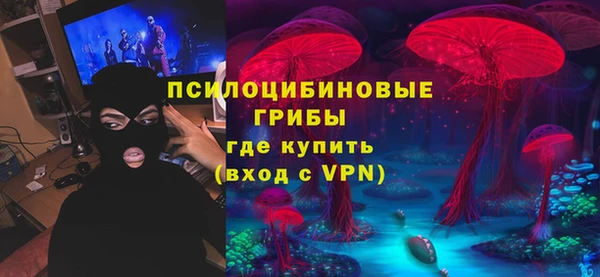 дурь Дмитровск