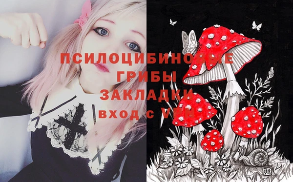 кокс Дмитров